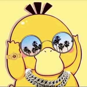 渣渣贵